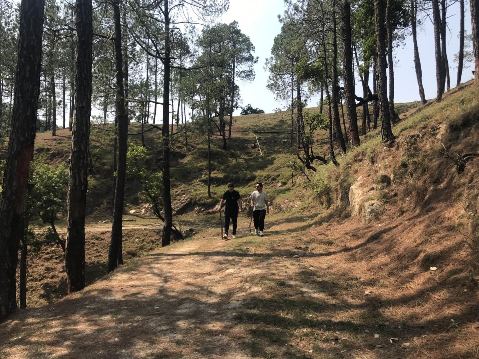 Simba Jungle Lodge, Binsar Wildlife Sanctuary 외부 사진