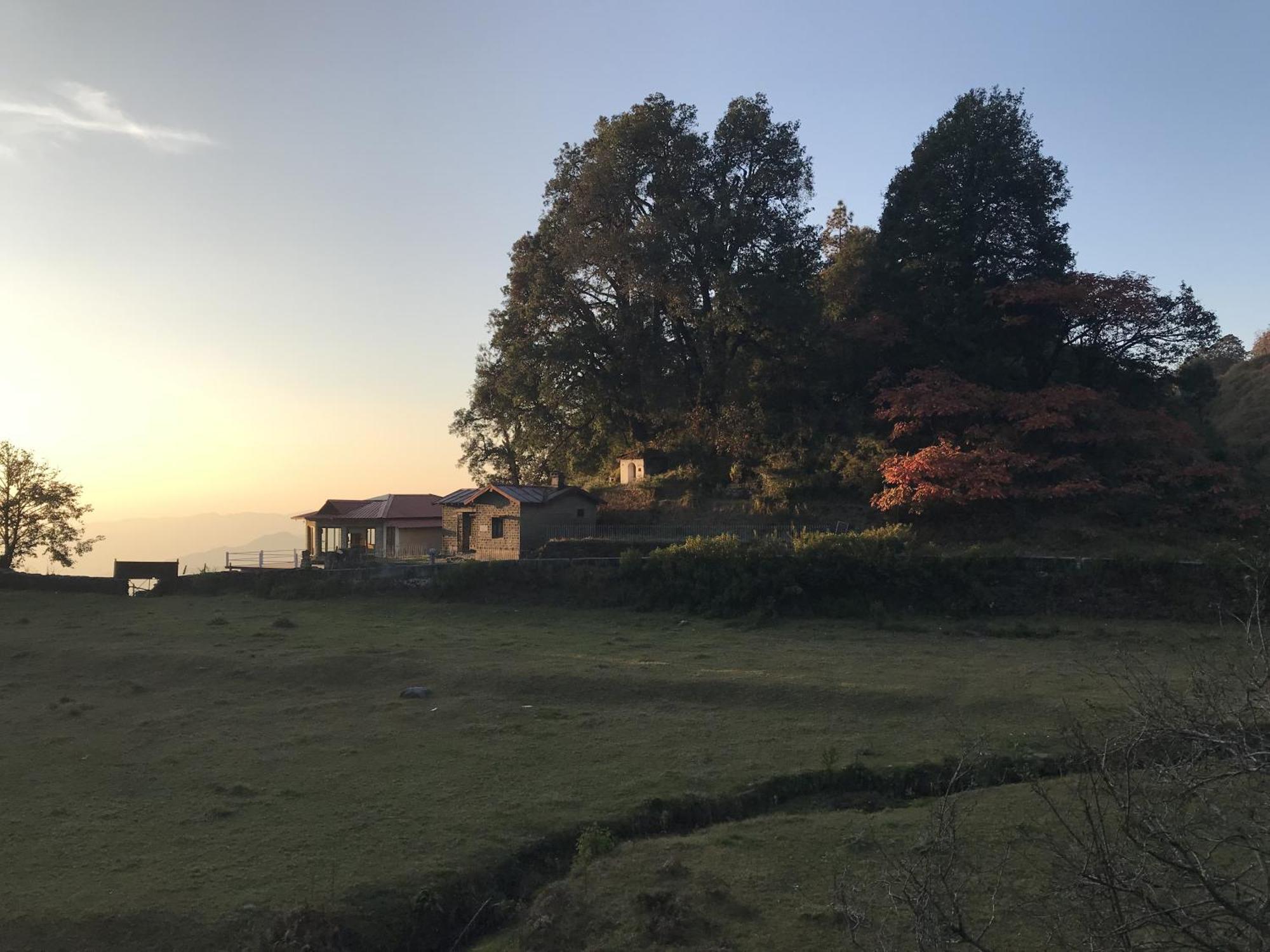 Simba Jungle Lodge, Binsar Wildlife Sanctuary 외부 사진