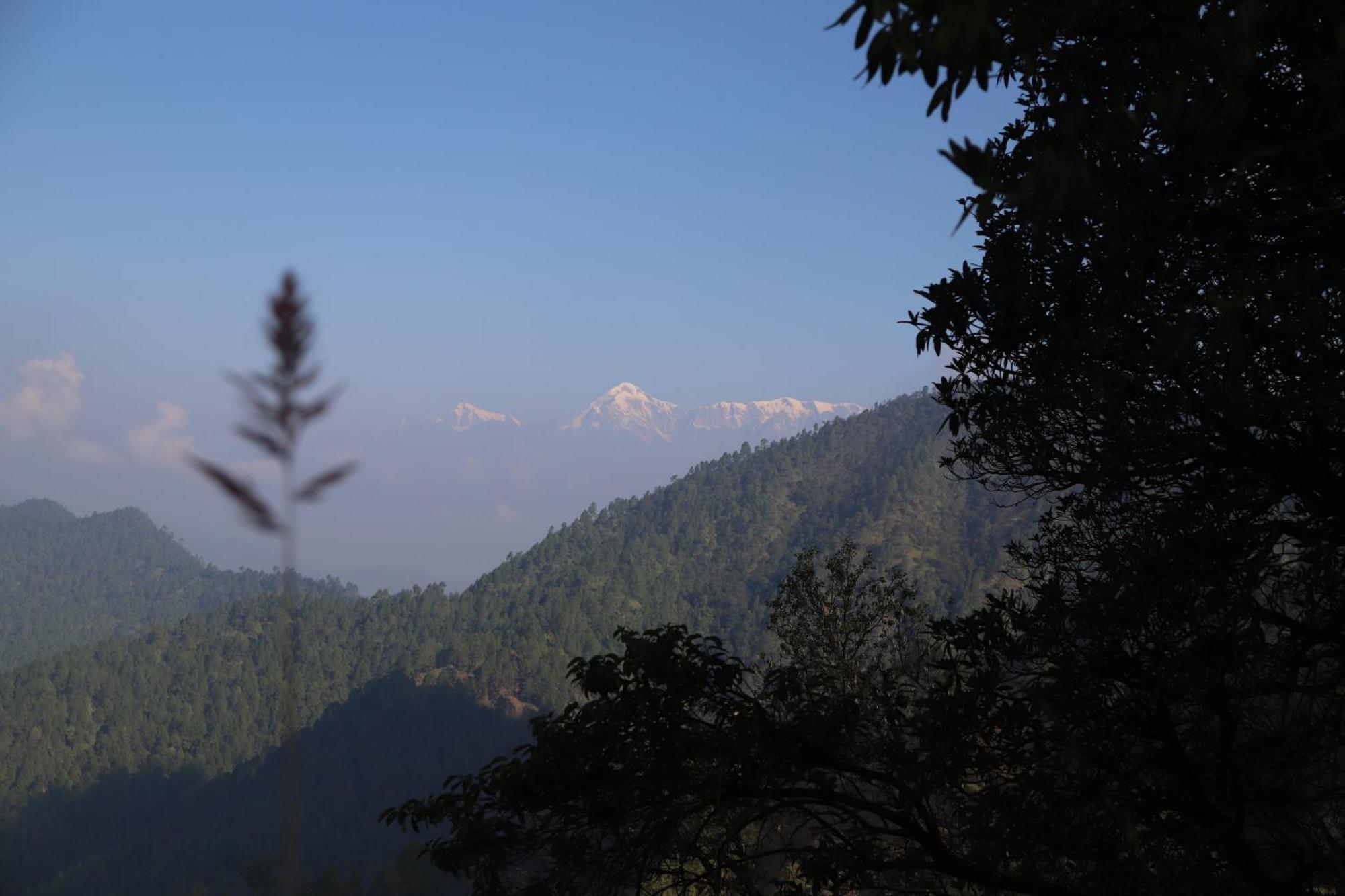 Simba Jungle Lodge, Binsar Wildlife Sanctuary 외부 사진