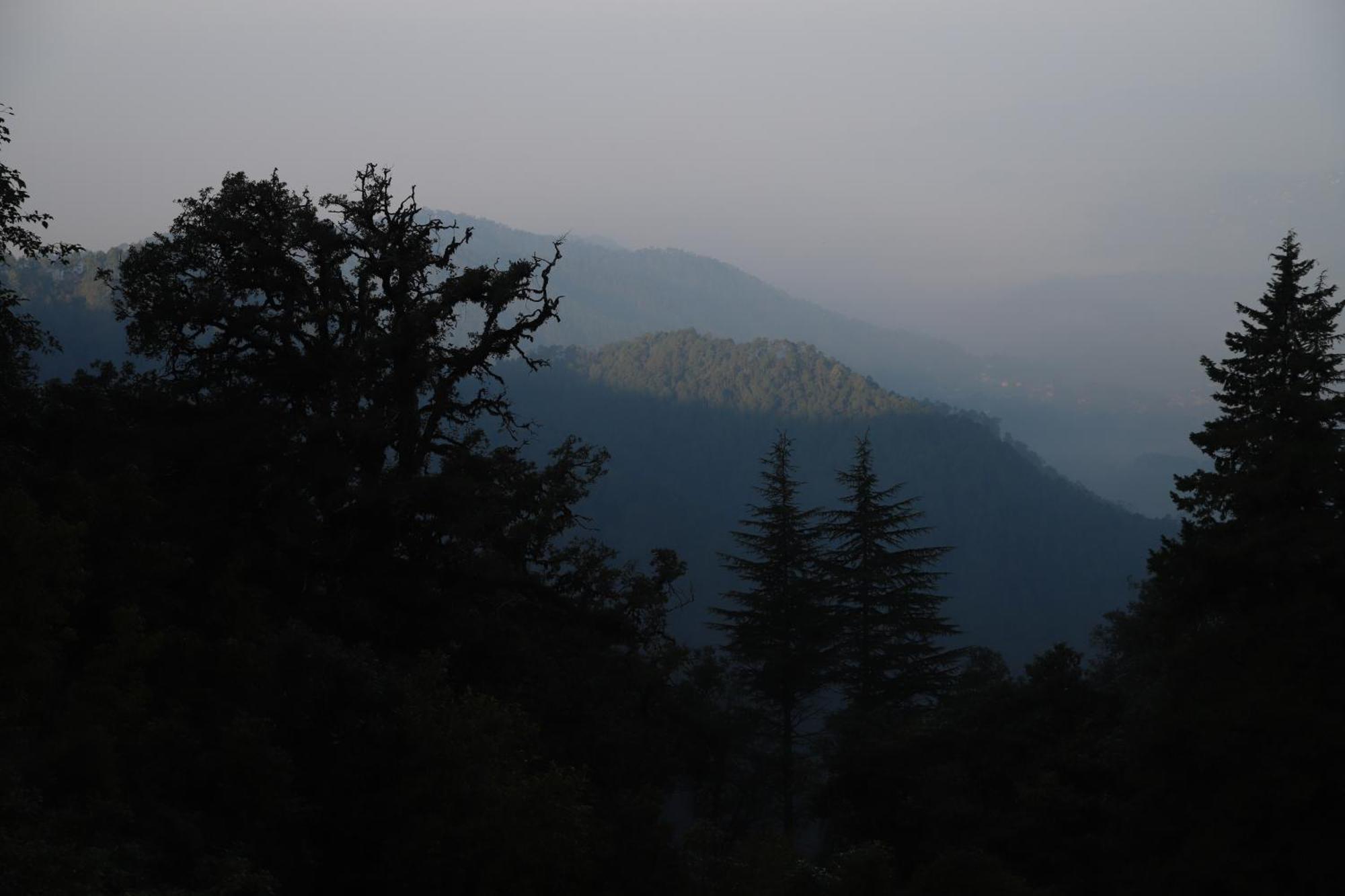 Simba Jungle Lodge, Binsar Wildlife Sanctuary 외부 사진