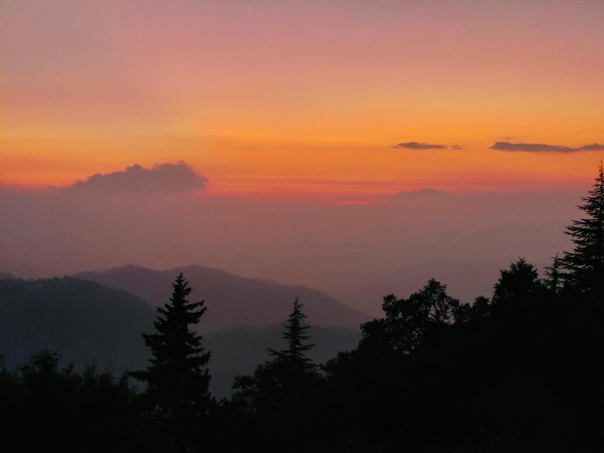 Simba Jungle Lodge, Binsar Wildlife Sanctuary 외부 사진