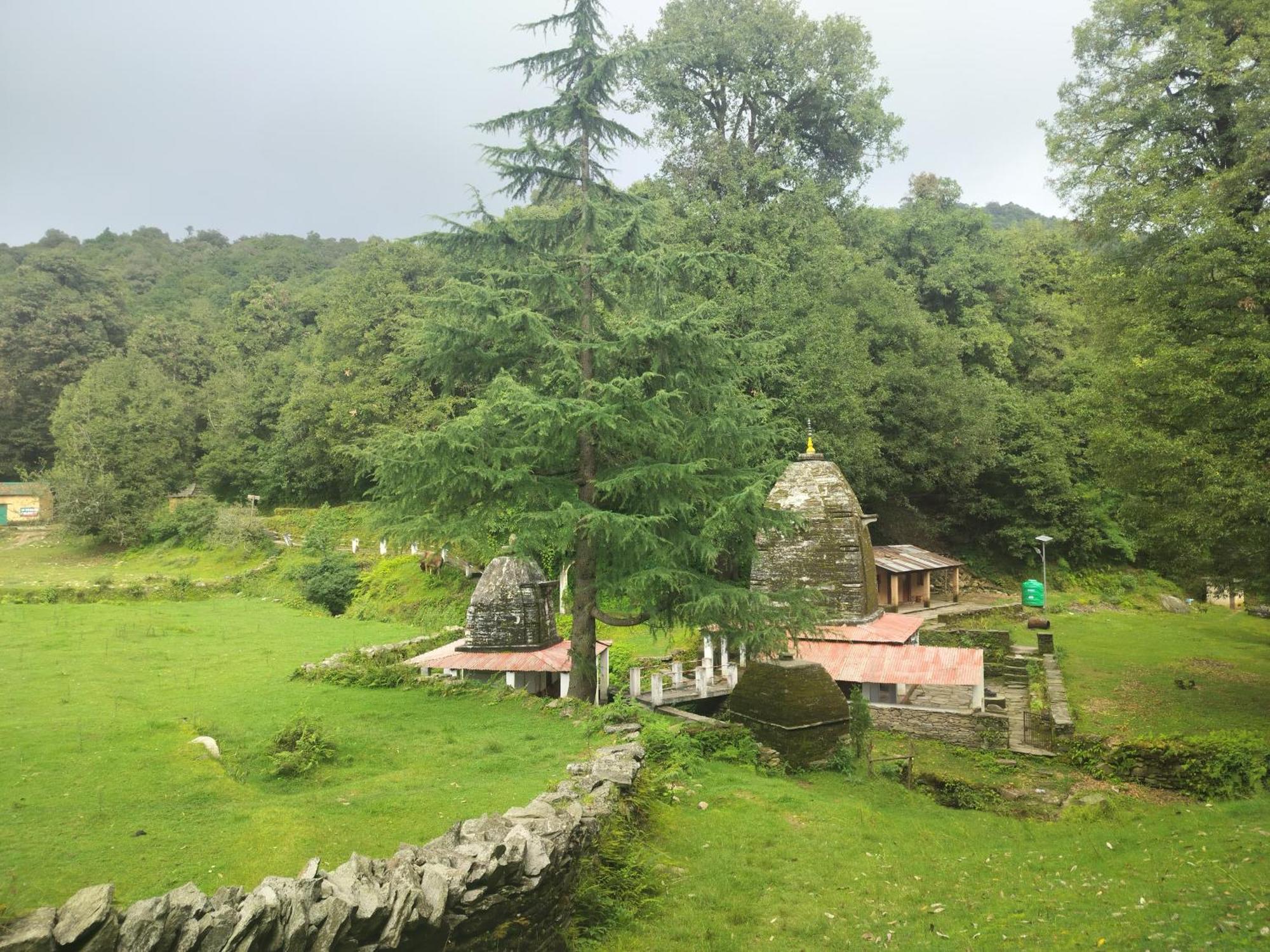 Simba Jungle Lodge, Binsar Wildlife Sanctuary 외부 사진