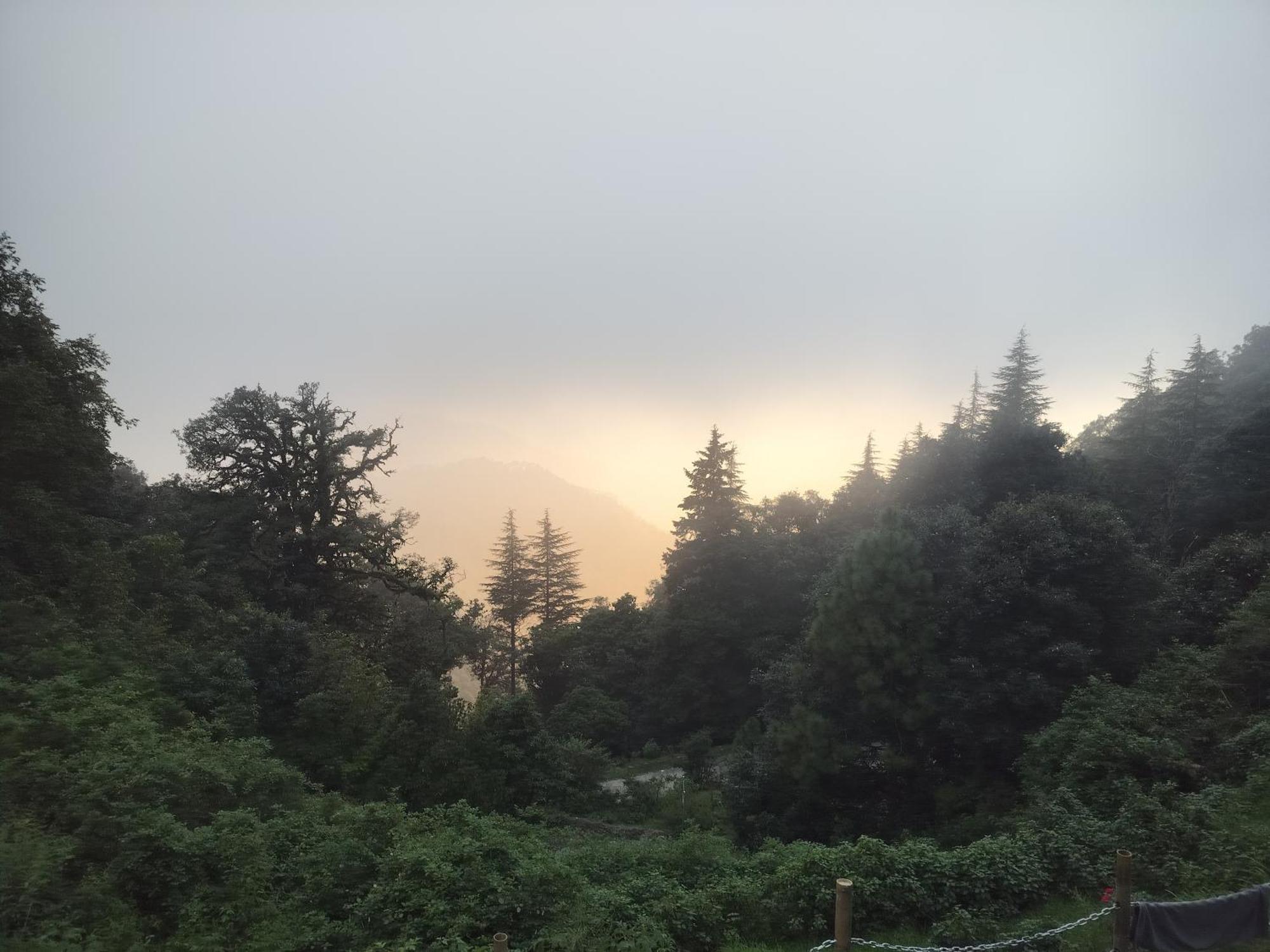 Simba Jungle Lodge, Binsar Wildlife Sanctuary 외부 사진