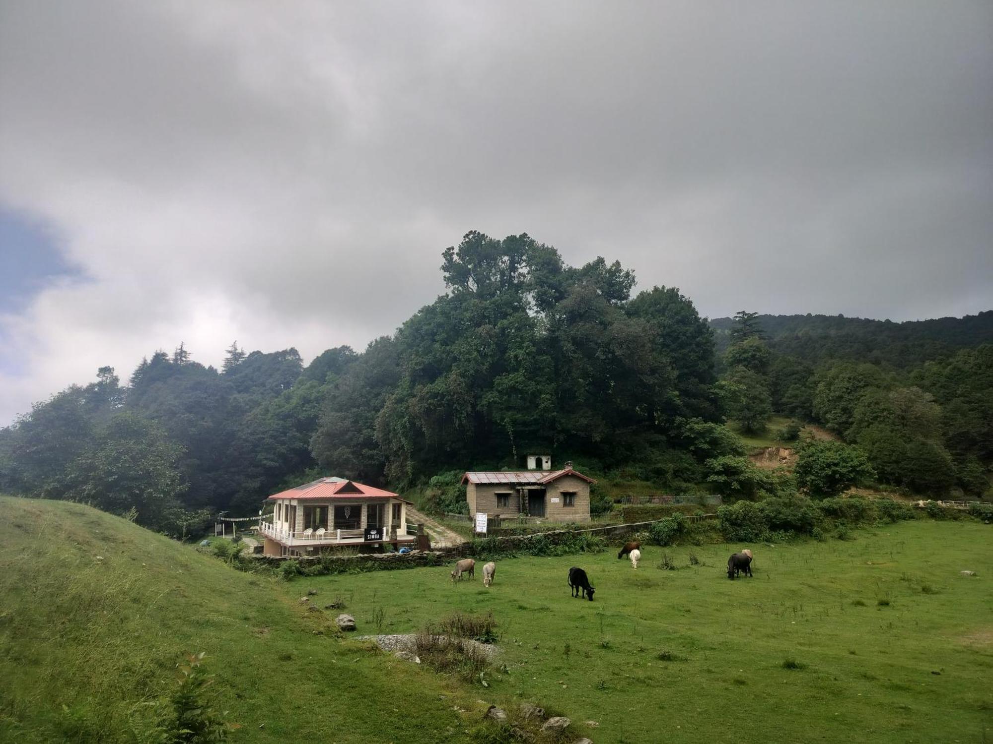 Simba Jungle Lodge, Binsar Wildlife Sanctuary 외부 사진