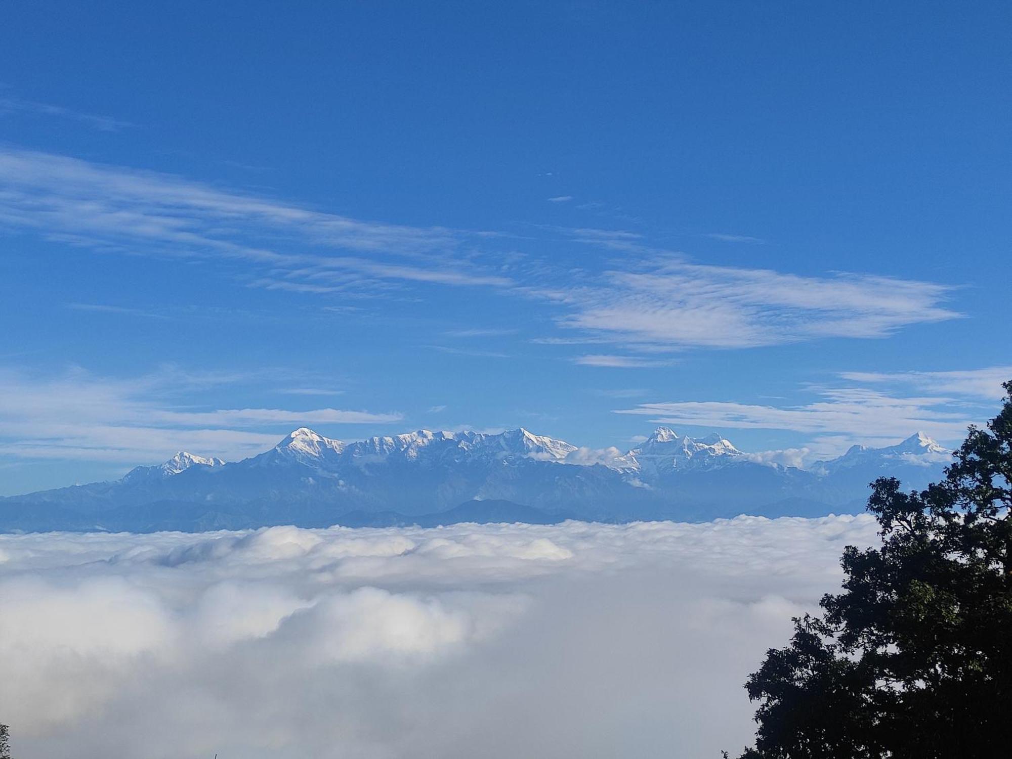 Simba Jungle Lodge, Binsar Wildlife Sanctuary 외부 사진
